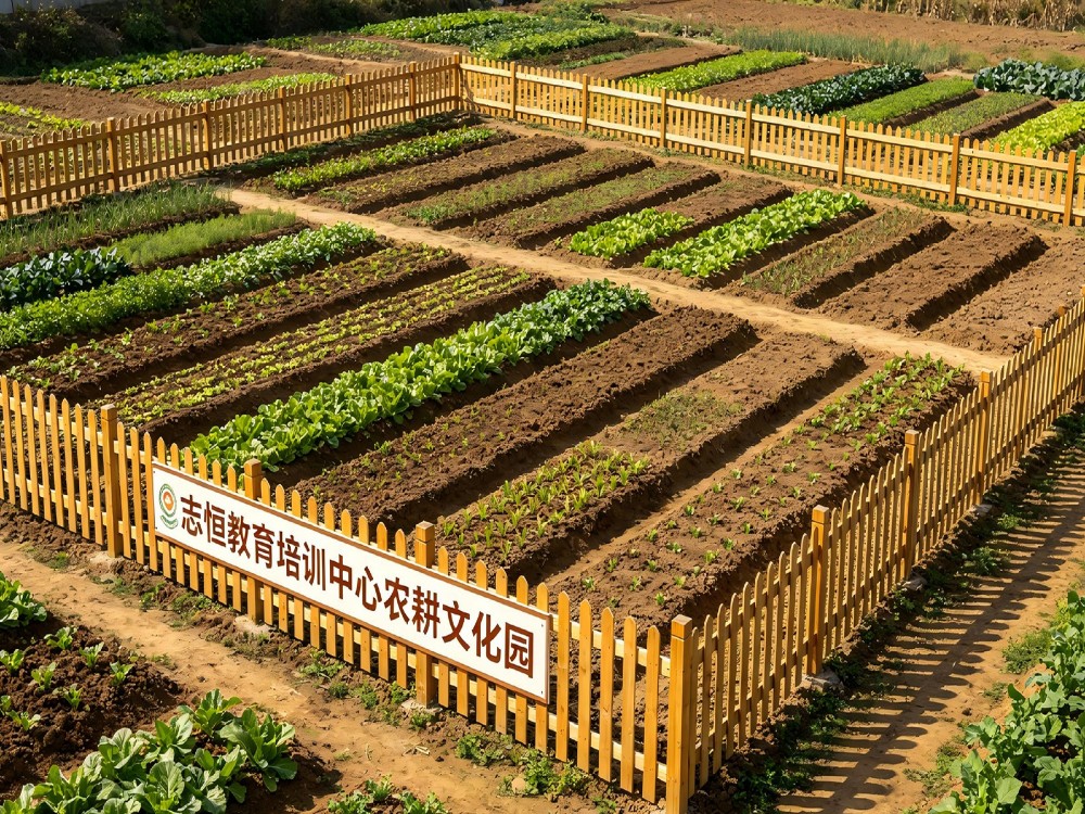 长治比较好的叛逆孩子教育学校具体位置在哪